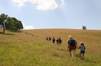 běh1_den_10_23.jpg
