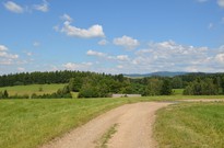 běh1_den_10_06.jpg