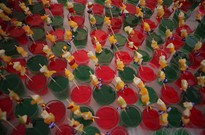 běh1_den_12_40.jpg