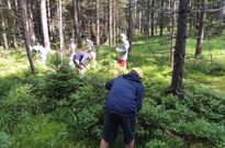 běh2_den_11_06.jpg
