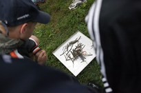 běh2_den_13_03.jpg