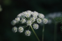 rodniky2_2014_6den_02.jpg