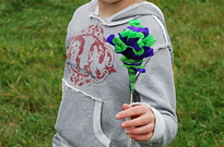 DSC_0240.jpg