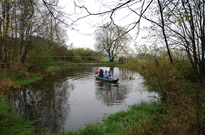 DSC_0176.jpg