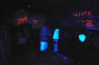 DSC_0859.jpg