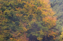 Poslední běh 2014