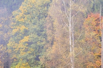 Posledni-beh-02.jpg