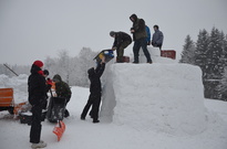 DSC_0426.jpg