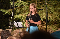 2015_3b_11den_25