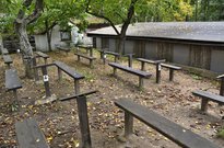 posledni_beh_15_14