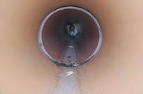 DSCN5413
