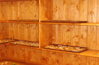 Velik01033530155