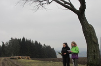 Velik01033531209