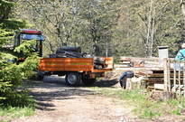 VK7_6537