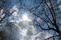 DSCN9859
