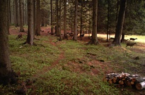 IMAG0049