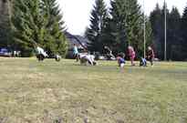 radcak17_15