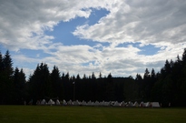 1beh-17-02den38