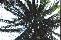 2B17_07den_10