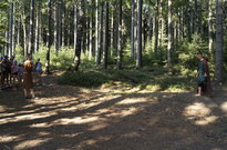 3B18_04den_26