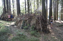3B18_05den_10