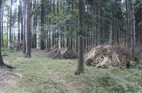 3B18_05den_18