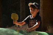 Hlavně se soustředit na míček!