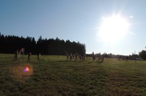 2. běh 2019 13. den