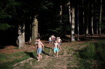 DSCF4172