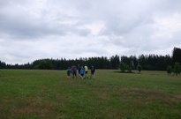 DSCF9504