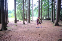 DSCF6390
