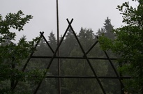 P1353806