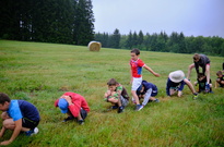 DSCF8253