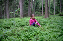 DSCF9657