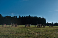 DSCF3749