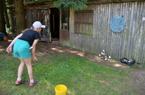 P1381472
