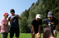 P1384203