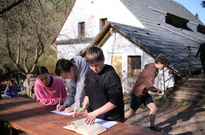 DSCF0667