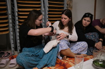 DSCF0948