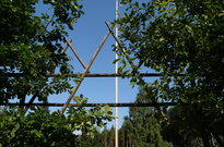 P1515888