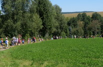 P1536838