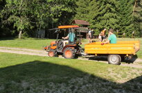 P1553964