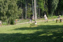 P1553988