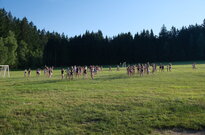 DSCF4807