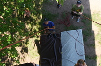 P1555257