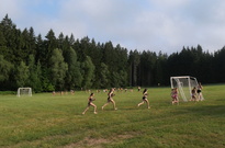 P1555806