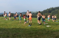 P1555812