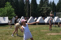 P1556178
