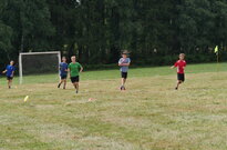 P1560587
