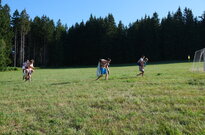 DSCF0449